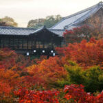 tofukuji2-kyoto