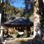 春日神社初詣